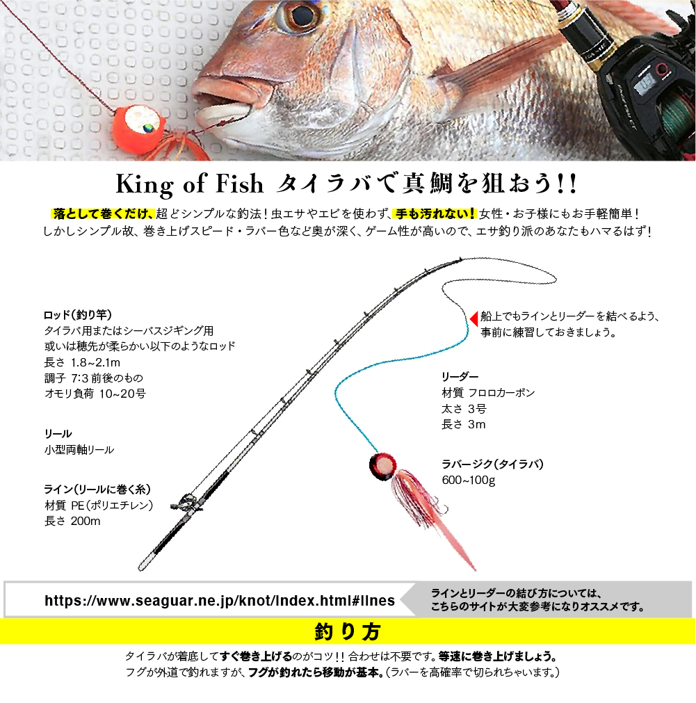 how-to-fish